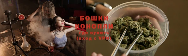 дживик Арсеньев