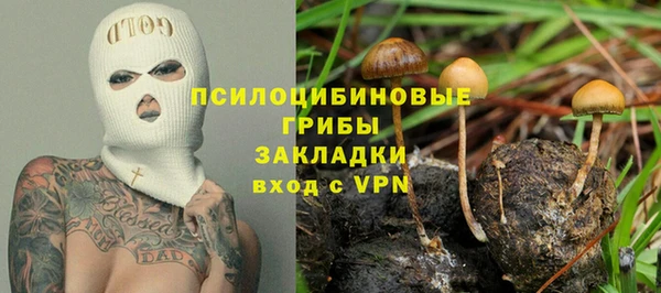 дживик Арсеньев