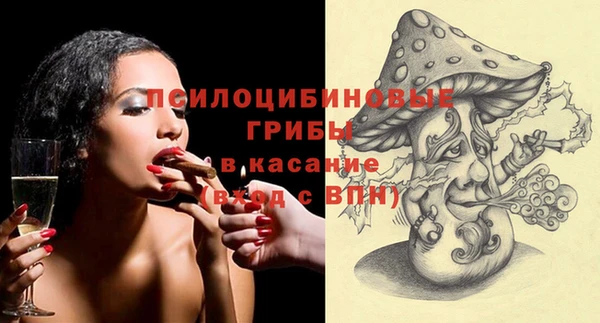 дживик Арсеньев